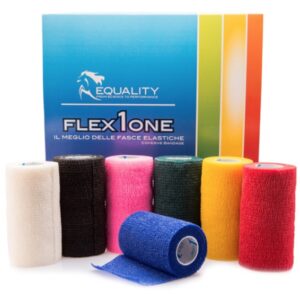 FLEX1ONE