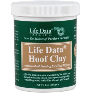 HOOF CLAY