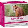 RIBES-HORSE