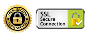 SSL-Secure-Connection