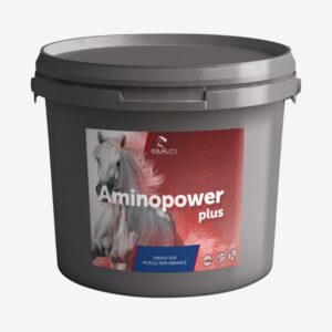 AMINOPOWER PLUS