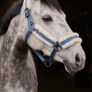 CAVEZZA MARQUESS AB 1