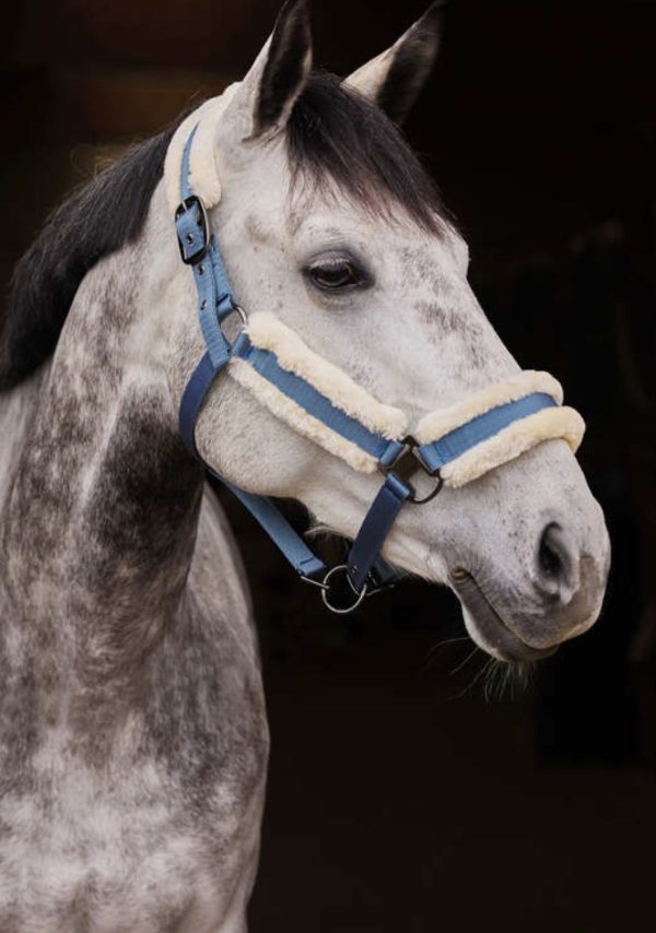 CAVEZZA MARQUESS AB 1