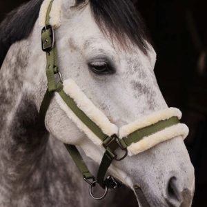 CAVEZZA MARQUESS BO 1