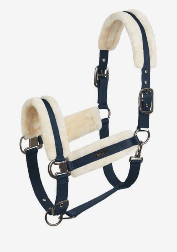CAVEZZA MARQUESS DN