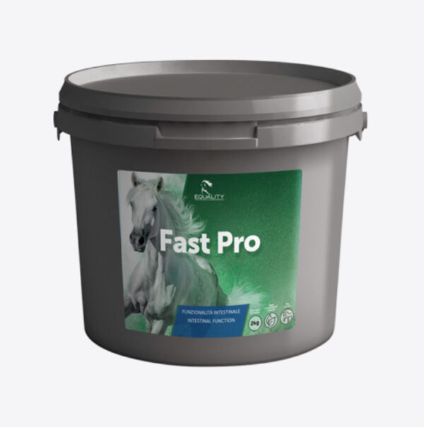 FAST PRO