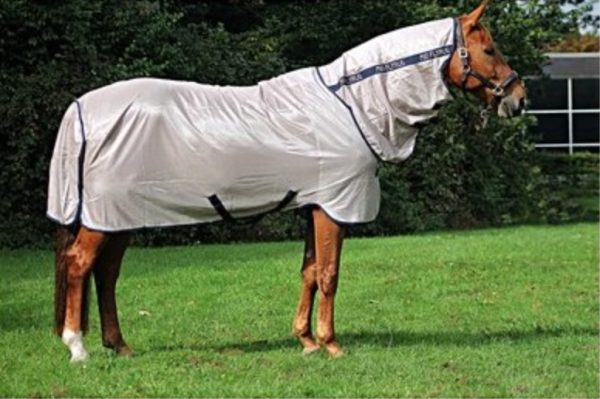 MIO FLY RUG 1