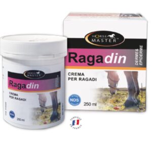 RAGADIN