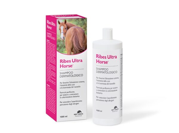 RIBES ULTRA HORSE
