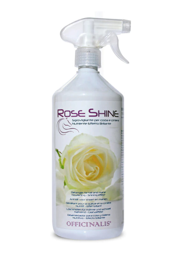 ROSE SHINE