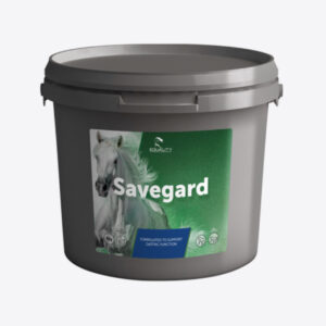 SAVEGARD