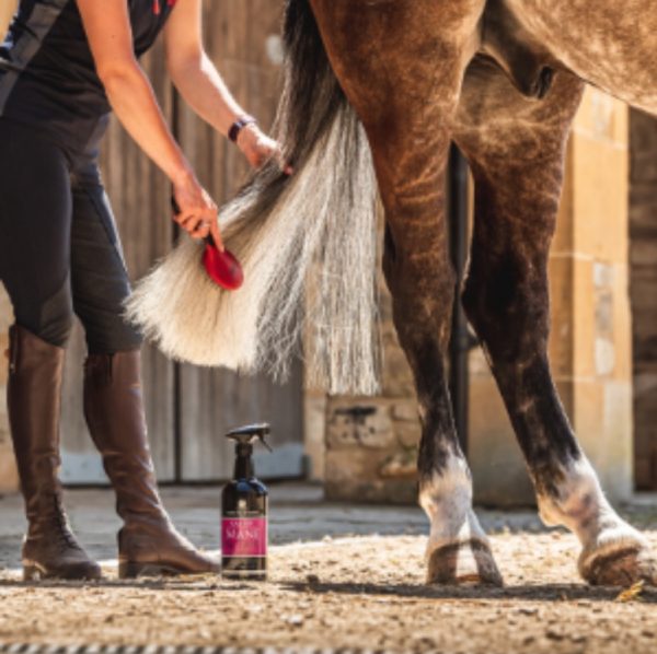 Canter Mane & Tail - immagine 3