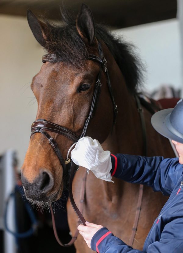 GUANTI BELVOIR TACK CLEANER 1