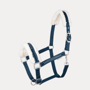 CAPEZZA ELEGANT B