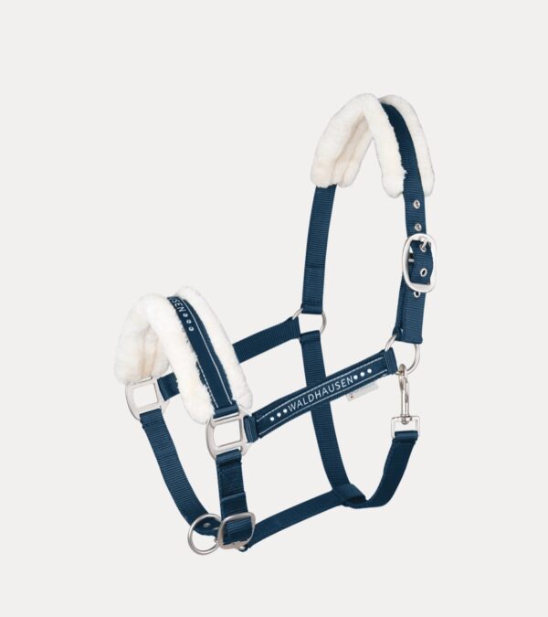 CAPEZZA ELEGANT B
