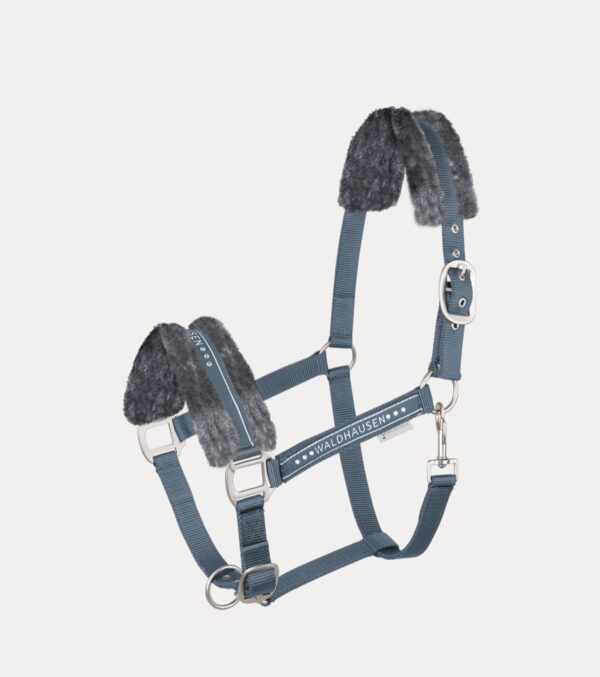 CAPEZZA ELEGANT BG