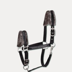 CAPEZZA ELEGANT N
