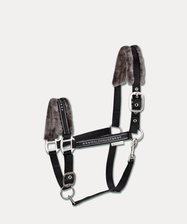 CAPEZZA ELEGANT N