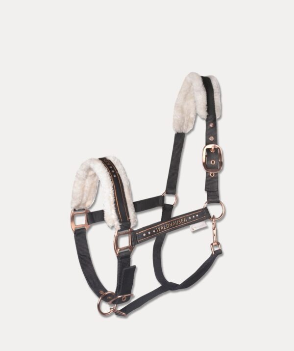 CAPEZZA ELEGANT N/OR