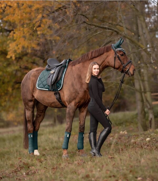 SOTTOSELLA DA DRESSAGE COMPETITION V 1