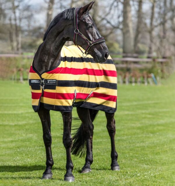 PILE DELUXE RAMBO HORSEWARE