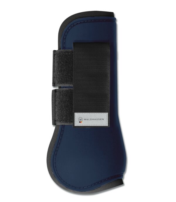 PARATENDINI BASIC WALDHAUSEN B