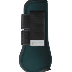 PARATENDINI BASIC WALDHAUSEN V