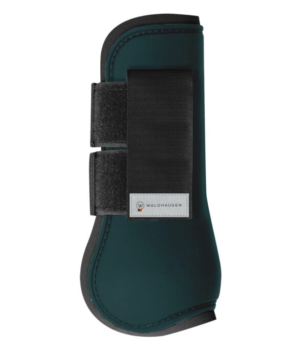 PARATENDINI BASIC WALDHAUSEN V