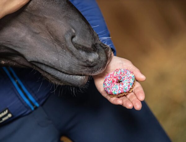 DONUTS CON ZUCCHERINI 1