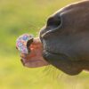 MUFFIN CON ZUCCHERINI
