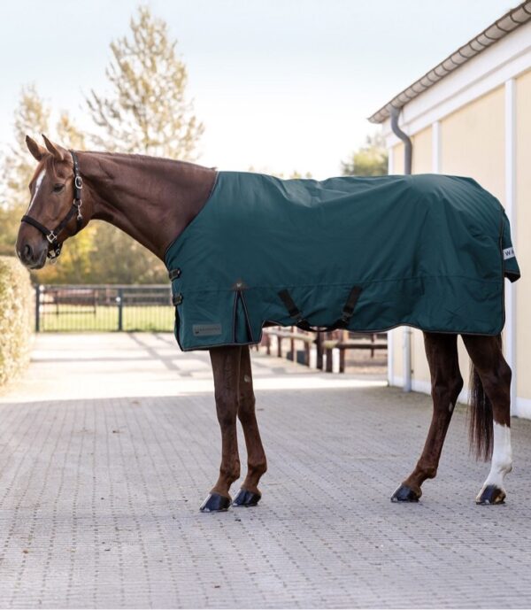 COPERTA OUTDOOR ARCTIC 300G BP