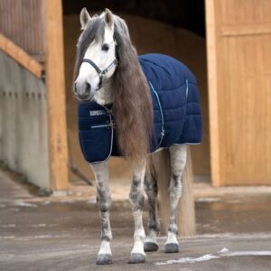 RAMBO STABLE 400G B 1