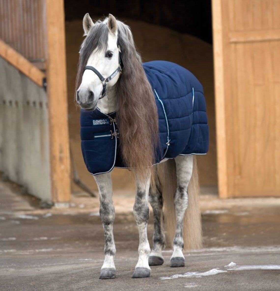 RAMBO STABLE 400G B 1