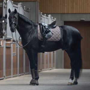 SOTTOSELLA KLLEXIE BI 2