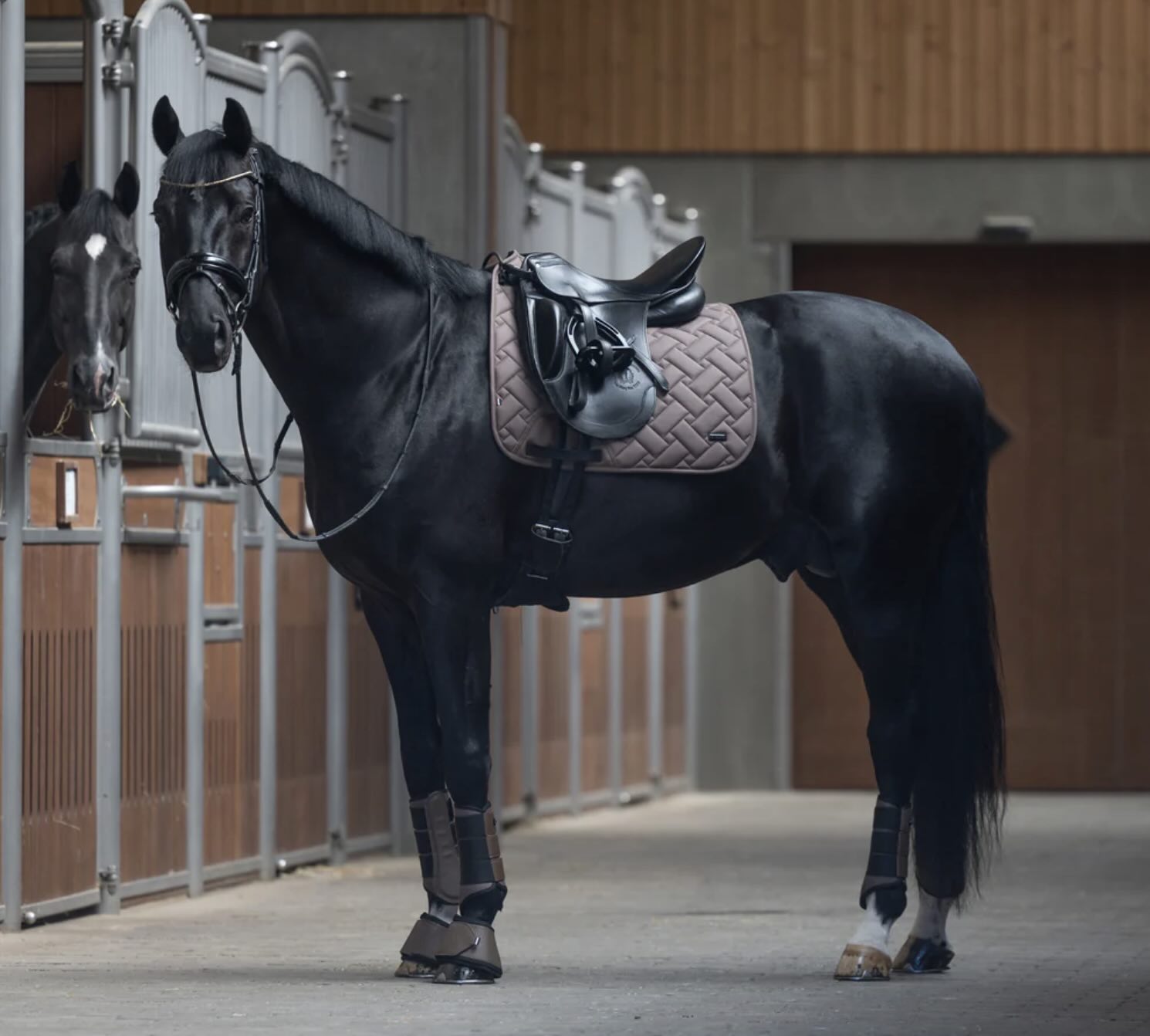 SOTTOSELLA KLLEXIE BI 2