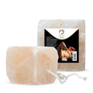 BLOCCO SALE HIMALAYA