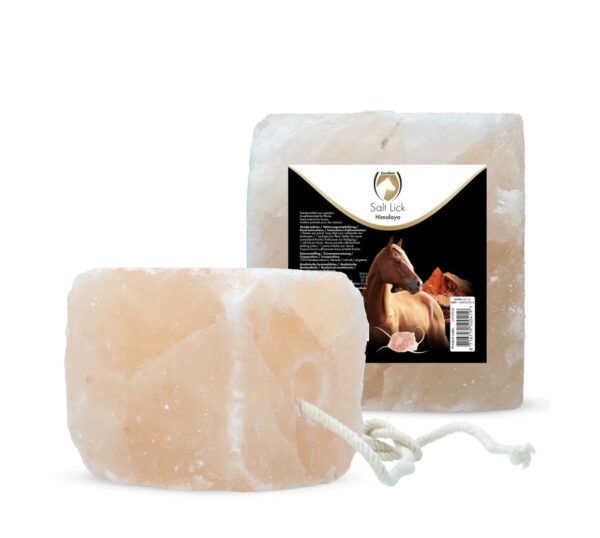 BLOCCO SALE HIMALAYA