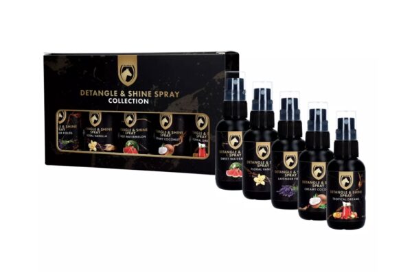 SET DETANGLE & SHINE